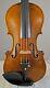 100+ Years Old Antique Bohemian Violin- Stainer Model, 1903