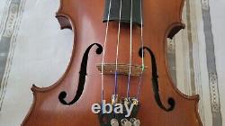 Antique 1901 CREMONENSIS FACIEBAT 4/4 Violin