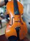 Antonius Stradivarius 4/4 Size Violin