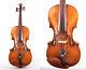 Authentic Old/ Vintage/ Antique 4/4 Master German Made Violin & Casetop Quality