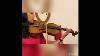 Beautiful Antique 19th Century European Violin 7 8th One Piece Sound Sample