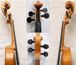 Beautiful Rare Old Da Salo Violin Antique Video? 212