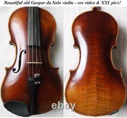 Beautiful Rare Old Da Salo Violin Antique Video? 245