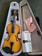 Debeijin Adults Violin Premium Violin For Beginners Ready To Play 4/4 Vio
