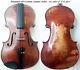 Fine Old German Amatus Violin Video Antique Master Violino? 410