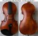 Fine Old German Master Violin Paul Prager -video- Rare Antique 939