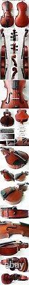 FINE OLD VIOLIN GEORG KLOTZ video RARE ANTIQUE MASTER? 500