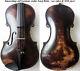 Fine Old Violin Josef Klotz Video Antique Master Violino? 417