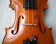 Fine Old Violin Around 1950s See Video Antique Violino? 245