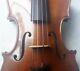 Fine Old Violin Around 1950s See Video Antique Violino? 445