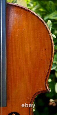 FRENCH OLD 19th century VIOLIN after Andreas Borelli. Listen to the video