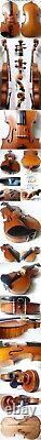 Fine Old German Violin Around 1930 -video- Antique Master? 558