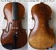 Good Old German Maggini Violin Schuster Video Rare Antique? 253