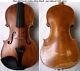 Old Czech Violin Alois Mach 1930 S Video Antique Violino 538