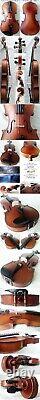 OLD FRENCH 3/4 VUILLAUME VIOLIN -video- RARE ANTIQUE? 559