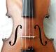 Old German Violin Label Bairhoff -video- Antique Master? 398