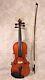 Ovh Wang Violin The Dancing Master's Violin Loose Label 2008/2011 Unmarked Bow