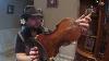 Old Antique 19th Century Violin With Strong Dark Tone Demo