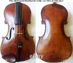 Old French Stradiuarius Violin -video- Antique Rare? 481