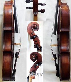 Old French Stradiuarius Violin -video- Antique Rare? 481