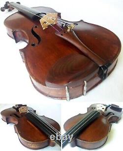 Old French Stradiuarius Violin -video- Antique Rare? 481