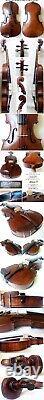 Old French Stradiuarius Violin -video- Antique Rare? 481