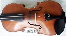 Old French Violin D. Moinel Label -video- Antique Rare? 544