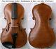 Old German Master Violin Mollenhauer & Sons Video Antique 225