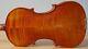 Old Vintage 4/4 Violin Geige Viola Cello Fiddle Label Ansaldo Poggi Nr. 1582