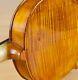 Old Vintage Violin 4/4 Geige Viola Cello Fiddle Lab Evasio Emilio Guerra Nr. 263