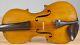 Old Vintage Violin 4/4 Geige Viola Cello Fiddle Label Camillus Camilli Nr. 1952