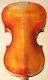 Old Vintage Violin 4/4 Geige Viola Cello Label Vincentius Postiglioni Nr. 1183