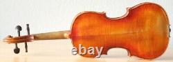 Old vintage violin 4/4 Geige viola cello label VINCENTIUS POSTIGLIONI Nr. 1183