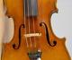 Old Vintage Violin 4/4 Geige Viola Cello Fiddle Label Ernesto Pevere Nr. 1881