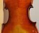 Old Vintage Violin 4/4 Geige Viola Cello Fiddle Label Giuseppe Dellacani Nr. 1648