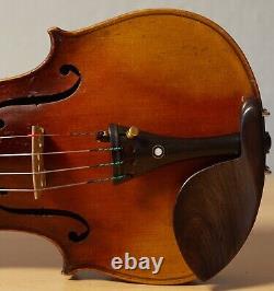 Old vintage violin 4/4 geige viola cello fiddle label GIUSEPPE DELLACANI Nr. 1648