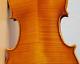 Old Vintage Violin 4/4 Geige Viola Cello Fiddle Label Paolo De Barbieri Nr. 1468