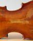 Old Vintage Violin 4/4 Geige Viola Cello Fiddle Label Pietro Pallotta Nr. 1714