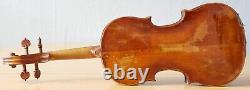 Old vintage violin 4/4 geige viola cello fiddle label PIETRO PALLOTTA Nr. 1714