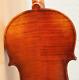 Old Vintage Violin 4/4 Geige Viola Cello Fiddle Label Pollastri Gaetano Nr. 1224