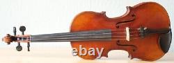 Old vintage violin 4/4 geige viola cello fiddle label POLLASTRI GAETANO Nr. 1224