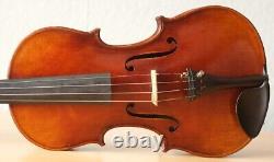 Old vintage violin 4/4 geige viola cello fiddle label POLLASTRI GAETANO Nr. 1224