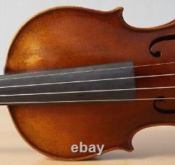 Old vintage violin 4/4 geige viola cello fiddle label POLLASTRI GAETANO Nr. 1778