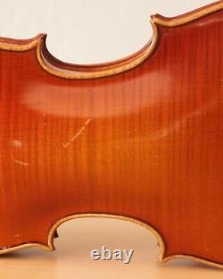 Old vintage violin 4/4 geige viola cello fiddle stamped FRIEDRICH MAULER Nr. 1346