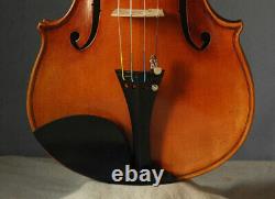 Professional violin 4/4 fiddle Guarneri Cannone mellow full tone violon geige