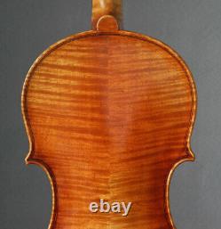 Professional violin 4/4 fiddle Guarneri Cannone mellow full tone violon geige