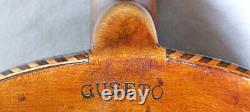 Rare Old Gusetto Violin Video Antique German Guseto? 285