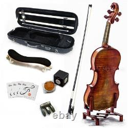 SKY 4/4 Size VN523 Violin Euro Performer Series for Handmade Antique Vintage