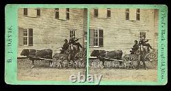 Unusual Rare Stereoview Photo Men on Bull Wagon Playing Violin HJ Davis Mass
