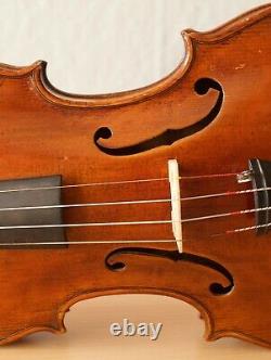 Very old labelled Vintage violin Castelli fiddle Geige